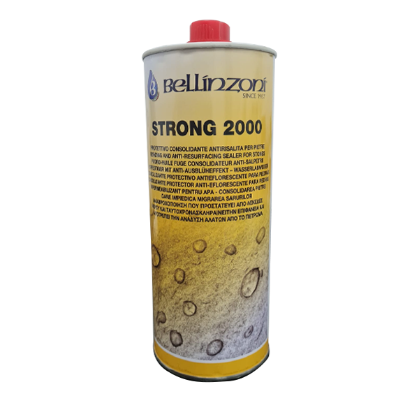 Limpiador profesional Strong 2000